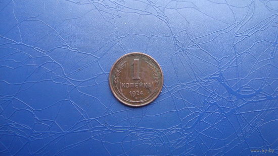 1 копейка 1924                                        (690)