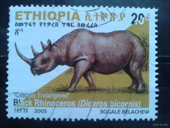 Эфиопия, 2005. Носорог