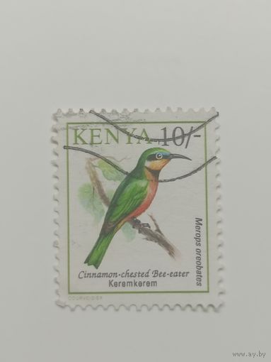 Кения 1993. Птицы
