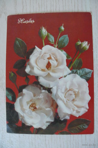 Дергилев И., 8 Марта  (на белорусском языке) 1990, чистая, ДМПК + провизорий СССР "8 коп".