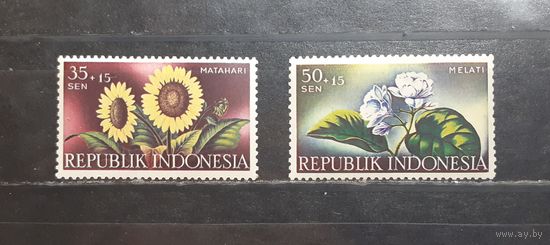 Индонезия. Флора. Цветы (1175)