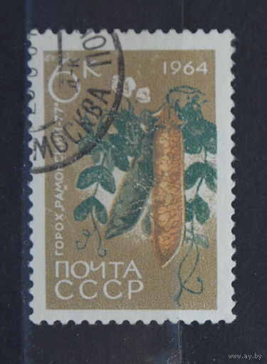 Ссср