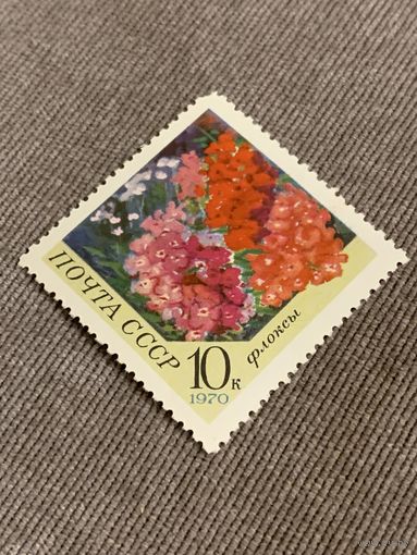 СССР 1970. Флоксы. Марка из серии