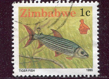 Зимбабве. Тигровая рыба