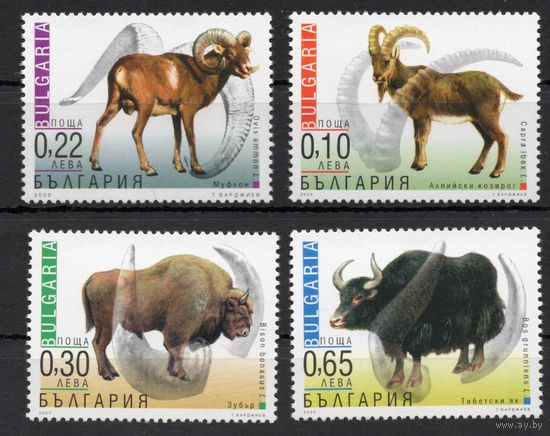 Болгария 2000. Фауна зубр, як, козерог, муфлон  4 марки  (4484)