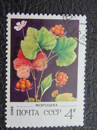 СССР 1982 г. Морошка.
