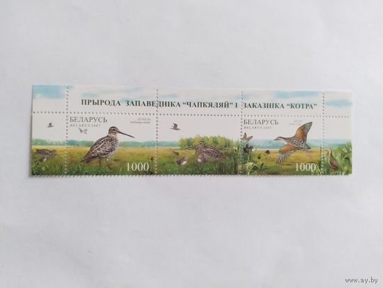 Беларусь 2007  2 м+к     заповедник