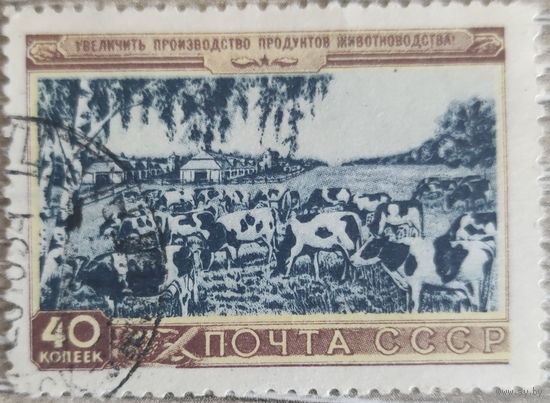 Сельское хозяйство 1954