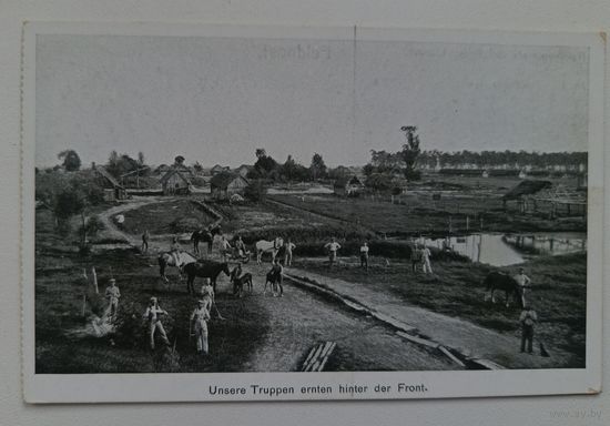 Брест-Литовск. Немецкие военные собирают урожай. 1917. Подписана