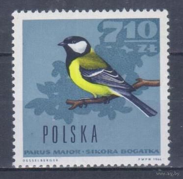 [1161] Польша 1966. Фауна.Птицы.Большая синица. Концовка серии.MNH