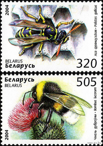 Пчелы, осы, шмели Беларусь 2004 год (573-574) серия из 2-х марок