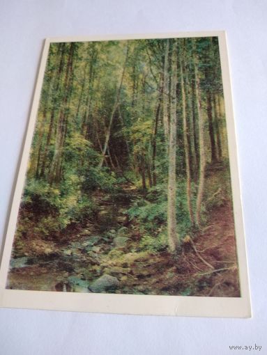 Открытка 1977г. И. Шишкин. Лес осинник.