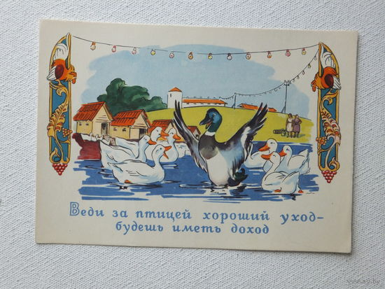 Юмор 1961  10х15 см