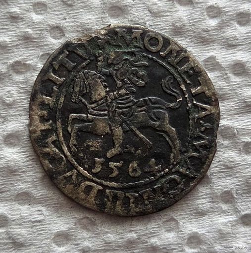 Полугрош 1564