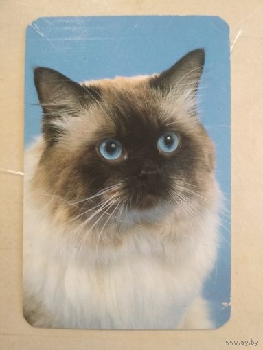 Карманный календарик. Кошки . 1996 год