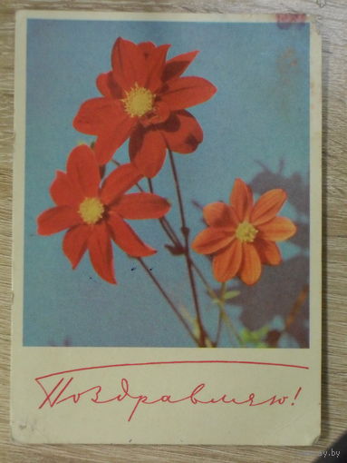 ПОДПИСАННАЯ ОТКРЫТКА СССР. "ПОЗДРАВЛЯЮ".ФОТО И. ДЕРГИЛЕВА . 1968 год