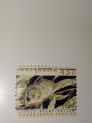 Австралия год 1992.  посвященная малому карликовому поссуму