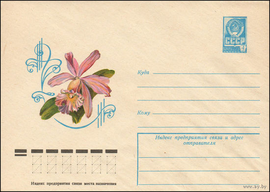 Художественный маркированный конверт СССР N 12494 (06.12.1977) Каттлея