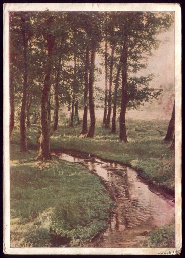 1958 год Прозорливый струмок