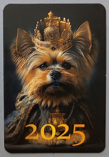 Собака. Календарик, 2025