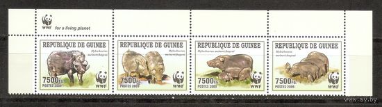 Гвинея 2009 WWF Фауна Бородавочник