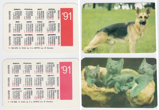 Календари котята, овчарка 1991