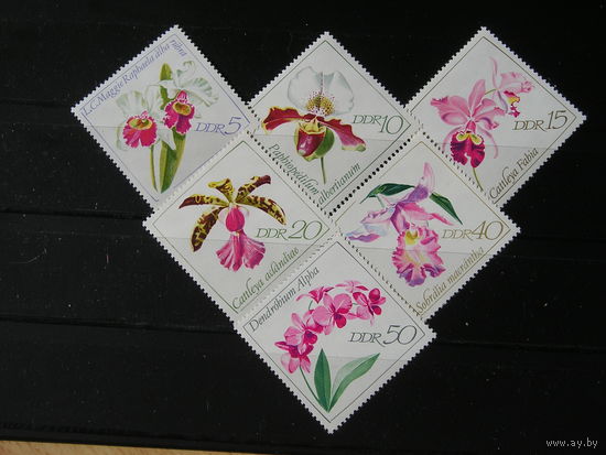 ГДР 1968, Орхидеи