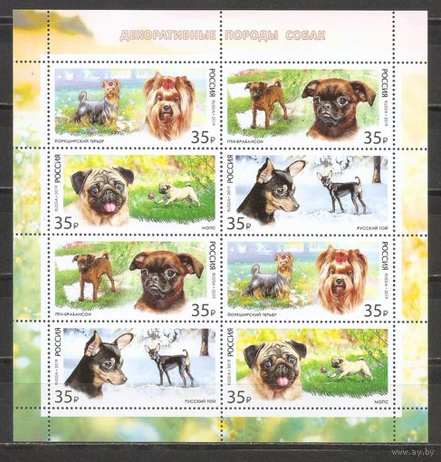 ФФ3 Россия 2019 Собаки