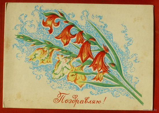 Поздравляю! Подписанная. Пинская тип. 1122.