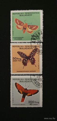 Мадагаскар мотыльки 3шт