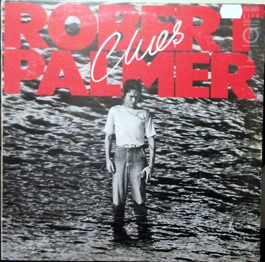 ROBERT PALMER	CLUES