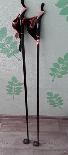 Палки лыжные Rex