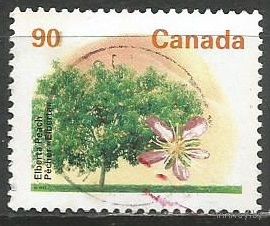 Канада. Фруктовое дерево. Груша. 1992г. Mi#1342 А.