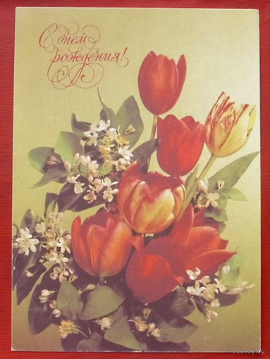 С днём рождения! Чистая. 1992 года. Дергилёва. 1364.
