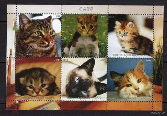 СЕРИЯ Блоков кошки собаки тигры  фауна  MNH
