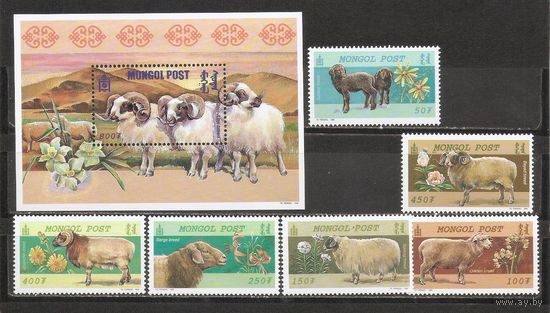 ФФ1 Монголия 1999 Овцы