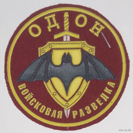 Разведка отдельная дивизии оперативного назначения ВВ МВД РФ