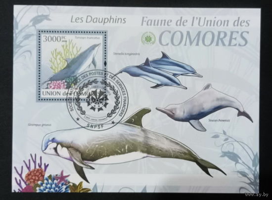 ЛИСТ ФАУНА рыбы морские обитатели  СТО