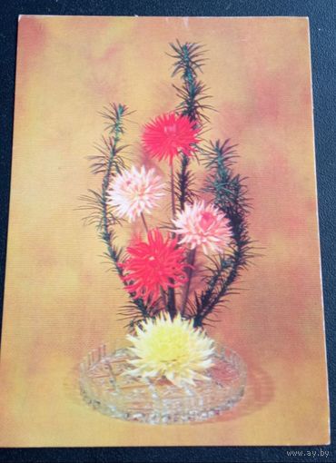 Открытка чистая, 1983