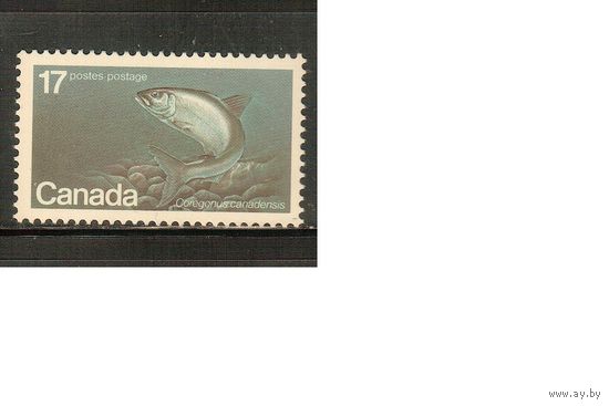 Канада-1980(Мих.764) , **   ,    Морская Фауна , Рыбы