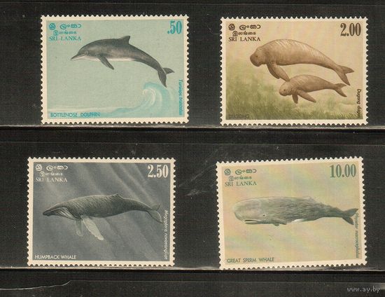 Шри-Ланка-1983(Мих.606-609) , **  , Морская  Фауна , Киты, Дельфины,(полная серия),