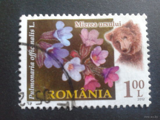 Румыния 2012 цветы, медведь