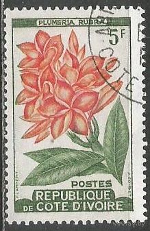 Кот д'Ивуар. Цветы. Плюмерия. 1961г. Mi#223.