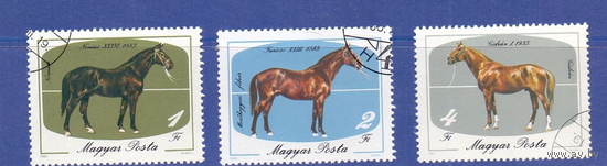 Magyar / Венгрия 1985 г. Фауна. Лошади. ГАШЕНЫЕ