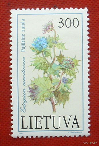 Литва. Цветы. ( 1 марка ) 1992 года. 5-3.