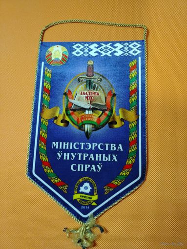 Вымпел академии МВД