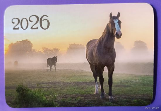 Лошадь. Календарик, глянец, 2026. Траско