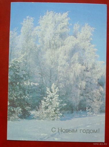 С новым годом! Чистая. 1990 года. Фото Дорожинского. 1699.