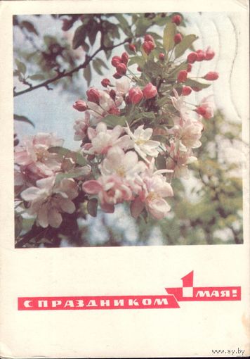 1968 год С праздником 1 мая!