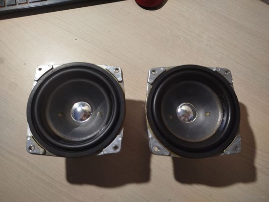 Динамики НЧ 25ГДН-3-4 (15ГД-14) пара